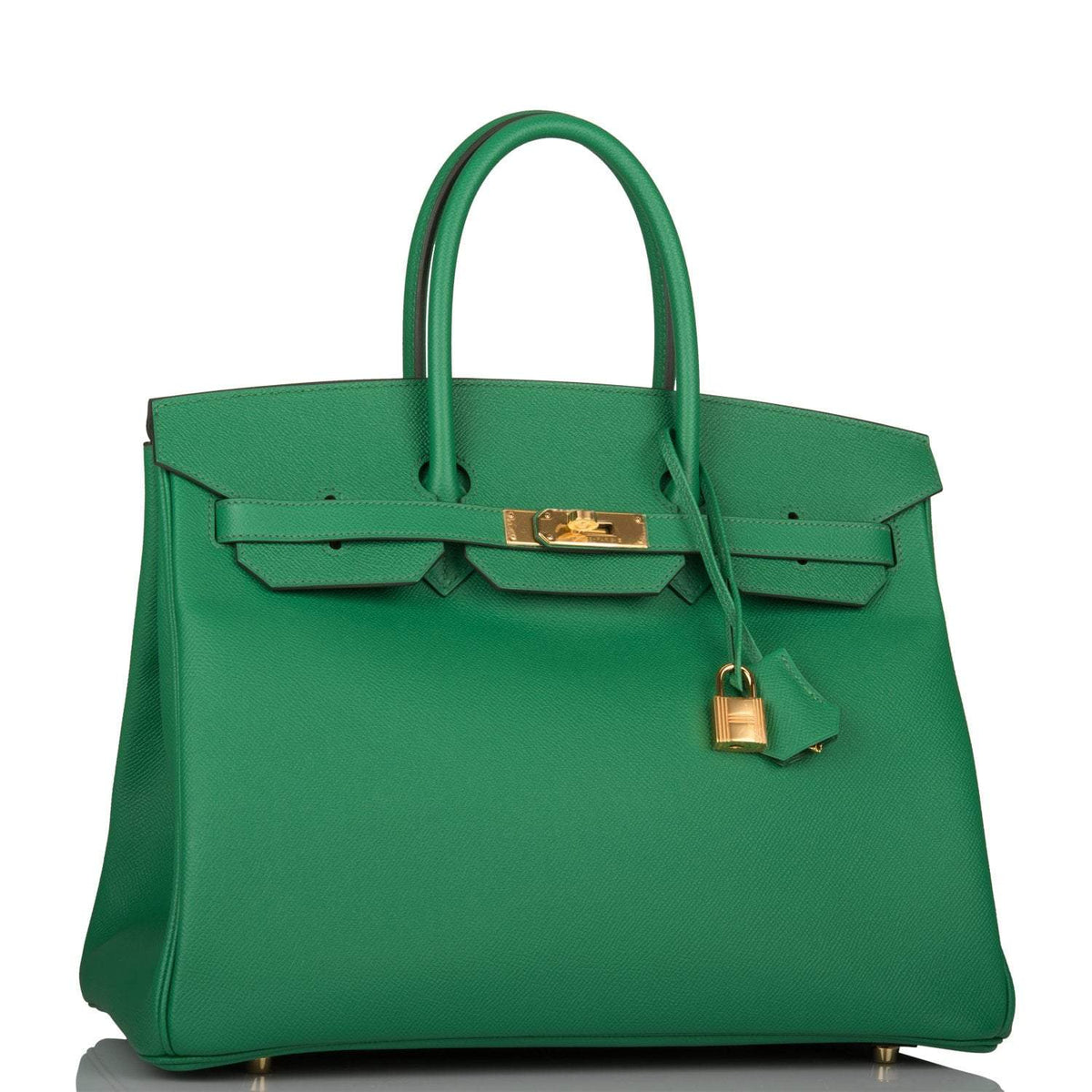 Hermes Cactus Epsom Birkin 35cm Gold Hardware