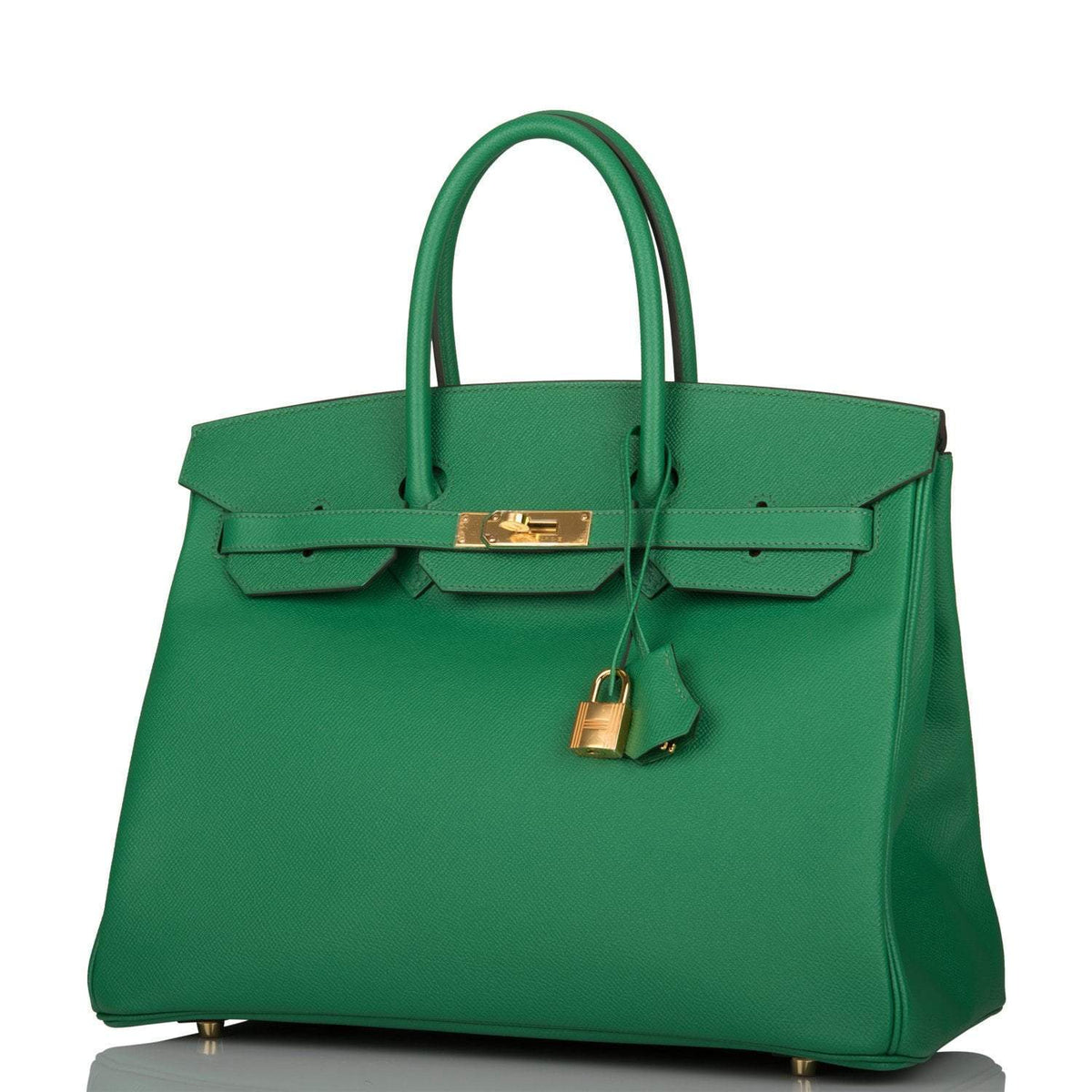 Hermes Cactus Epsom Birkin 35cm Gold Hardware